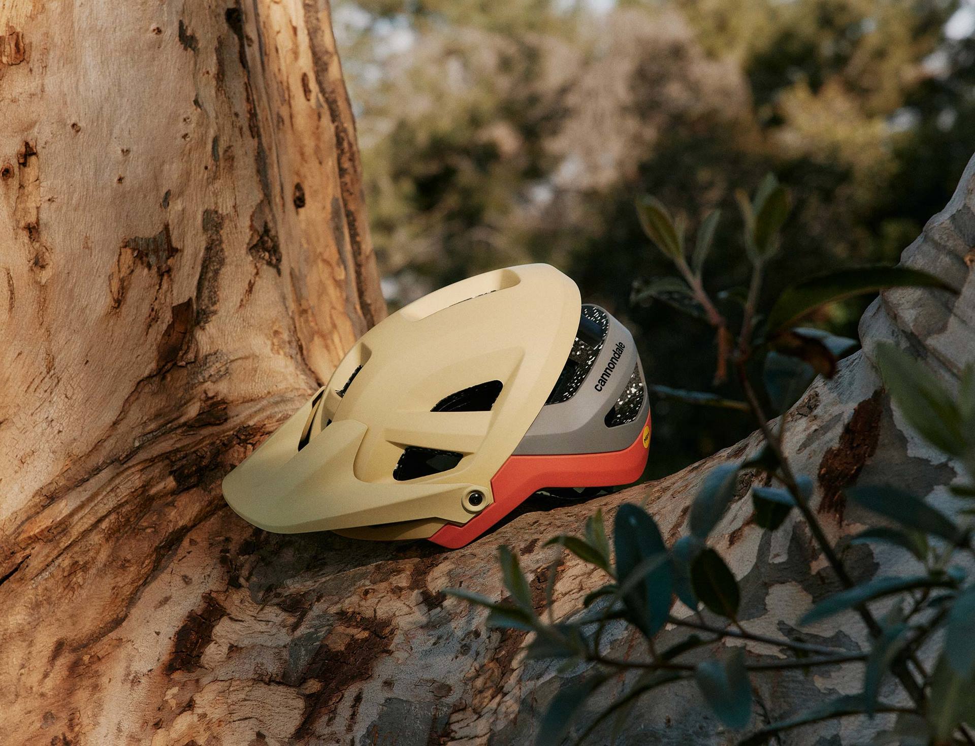 casco-cannondale-258uut-1.jpg Tract Adult Mountain Helmet | Helmets | Cannondale - Imagen 1